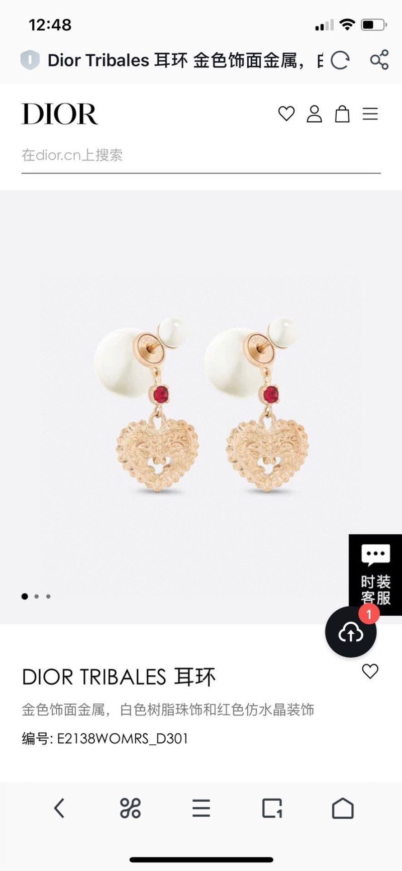 Christian Dior Earrings